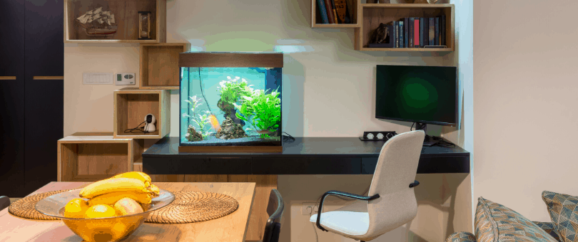 Desktop aquarium in a vacant home office