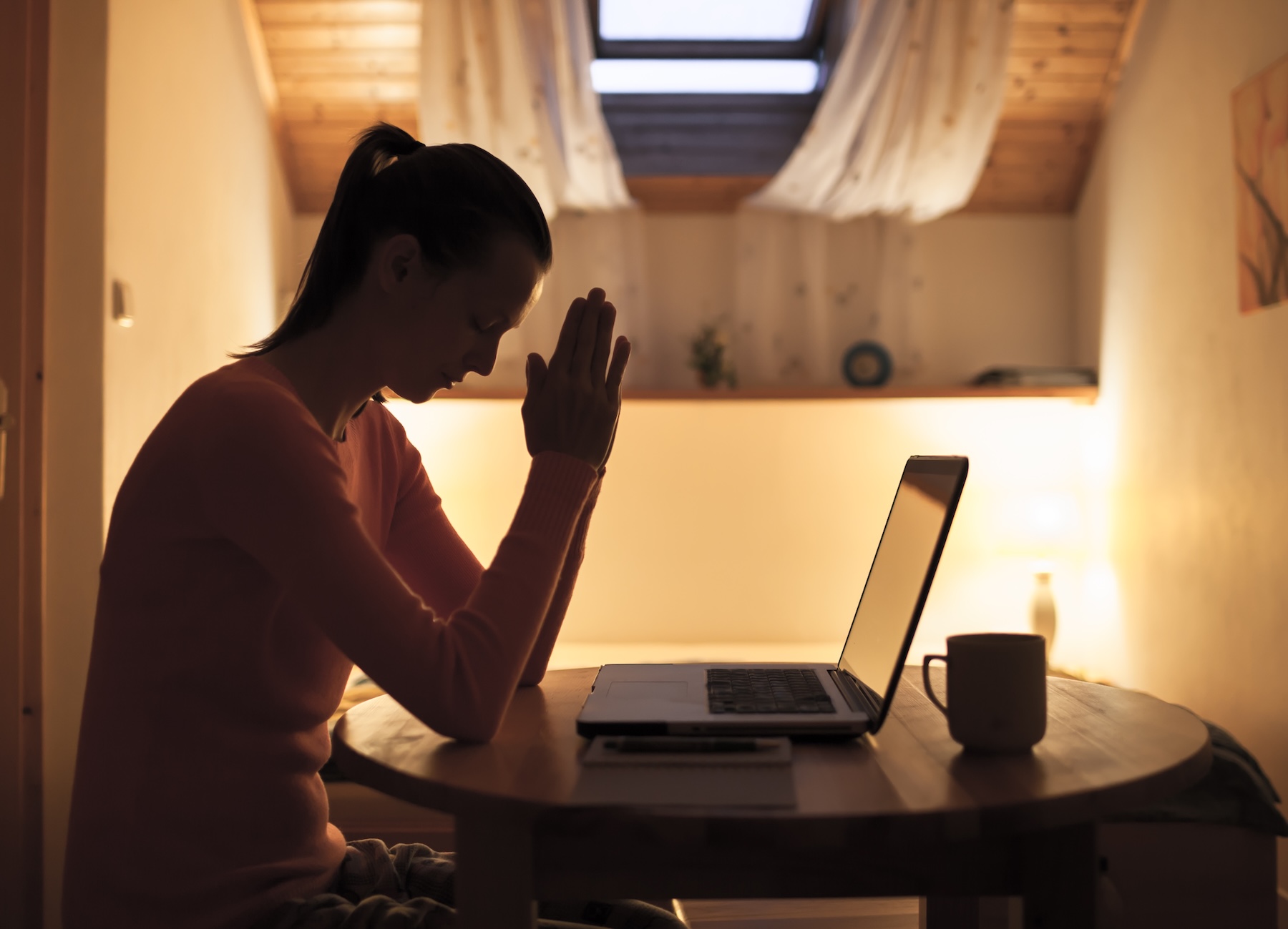 friendly fraudster at a laptop